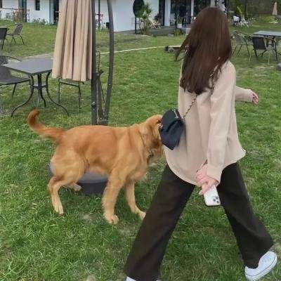 发光的内心